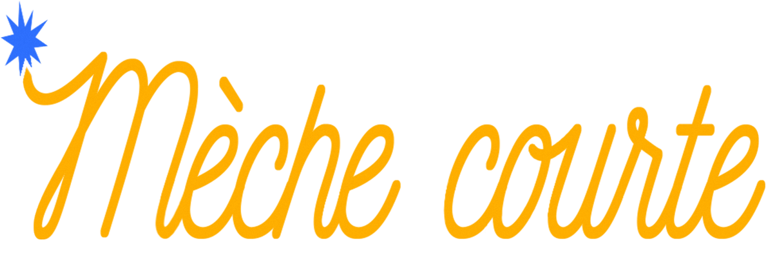 Logo Mèche Courte